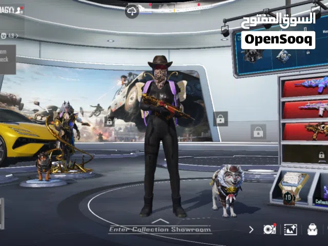 Pubg Accounts and Characters for Sale in Sidi-Bel-Abbes