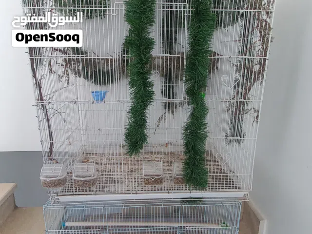 أقفاص حجم كبير