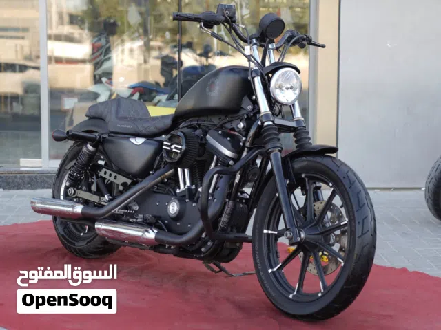 2020 Harley Davidson Iron 883