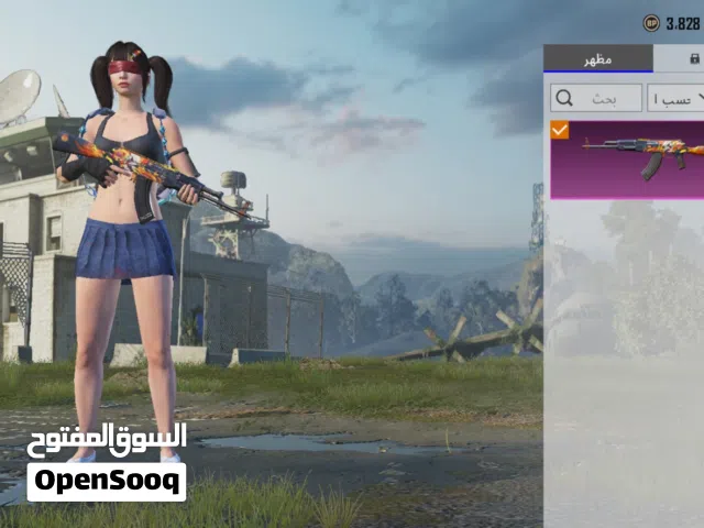 Pubg Accounts and Characters for Sale in Bani Walid