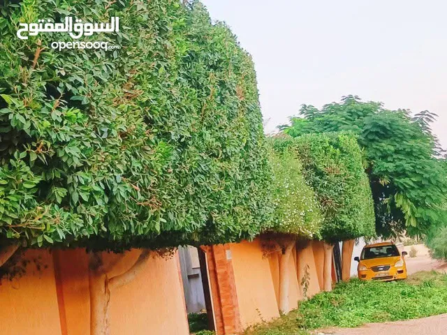 الريان لقص وتقليم وتنظيم الأشجار والحدائق