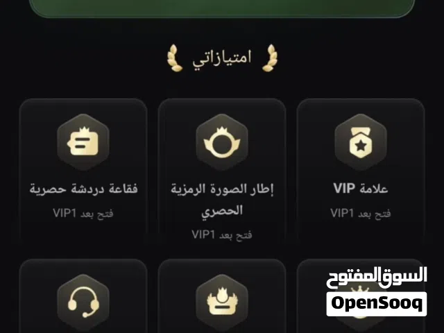 Accounts - Others Accounts and Characters for Sale in Al Batinah