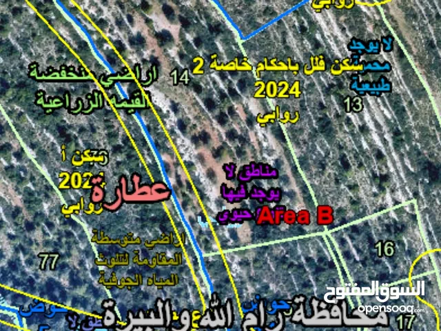 ارض للبيع قرب روابي
