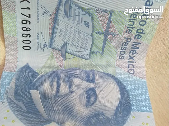للمعني داخل فلسطين