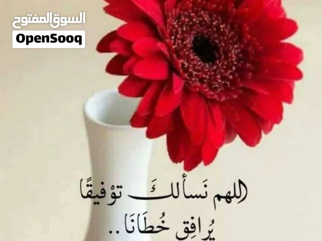 مستودع للايجار شفابدران قرب دوار البحرية