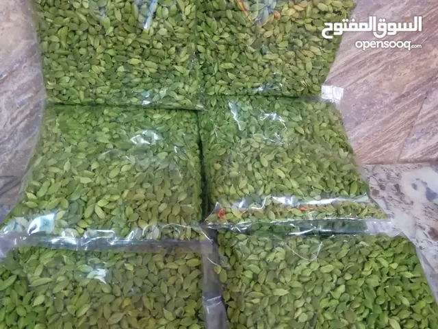 هيل جوتيملا جديد أنتاج 2024