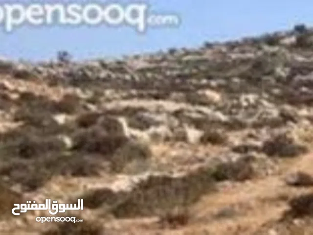 ارض مميزة كوشان طابو الف