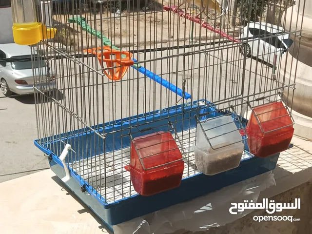 كنارات طواير عدد 2 للبيع