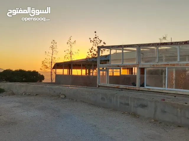 مطعم للئيجار وبسعر مغري جدا مرخص سياحي قريب من جامعة عمان العربية لتواصل على رقم التالي 078X1076984
