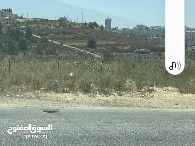 ارض للبيع في منطقه الطيره مساحه 6دونم صالحه للبيناء