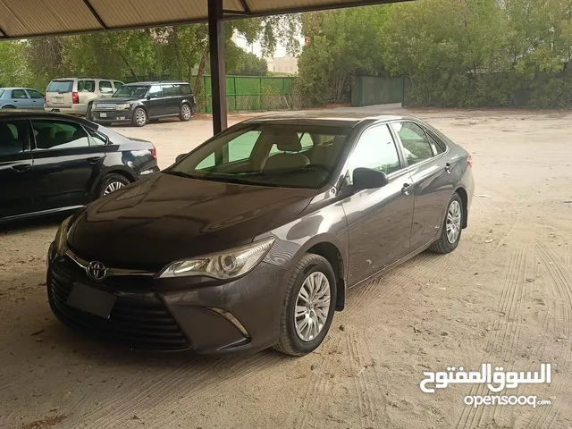 صبغ وكاله 2016 عداد 128 ألف