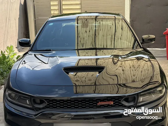 جارجر سكات باك 2022