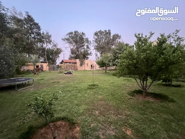2 Bedrooms Farms for Sale in Tripoli Al-Kremiah