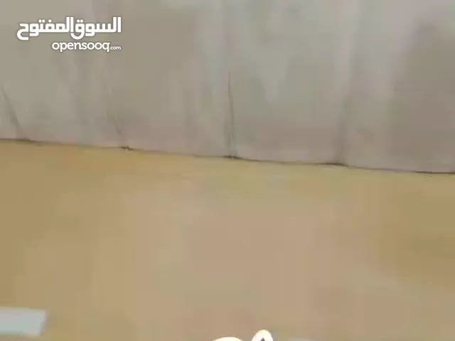 السلام عليكم ورحمه الله وبركاته غسل السجاد أقره الوصف