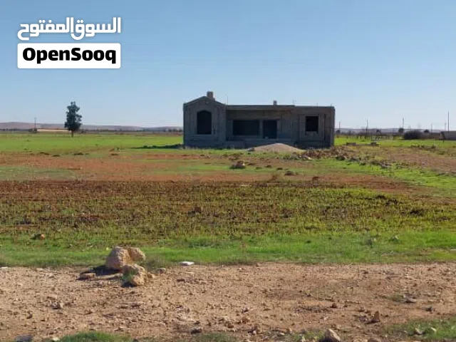 2هكتار شارع الاطيوش