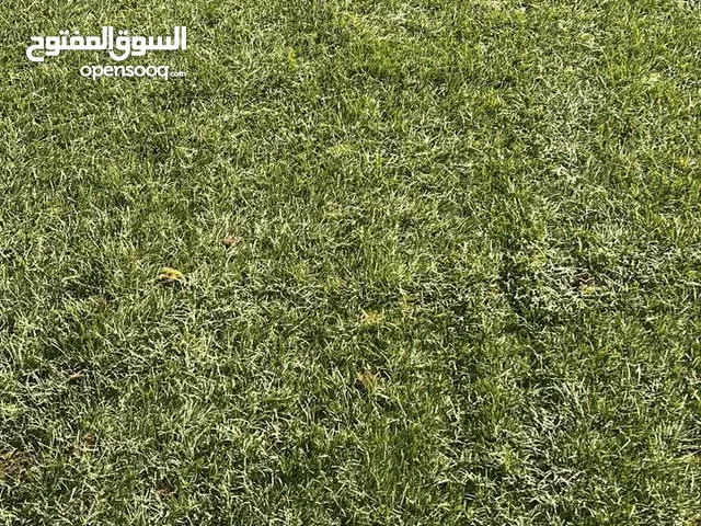 عشب صناعي للبيع