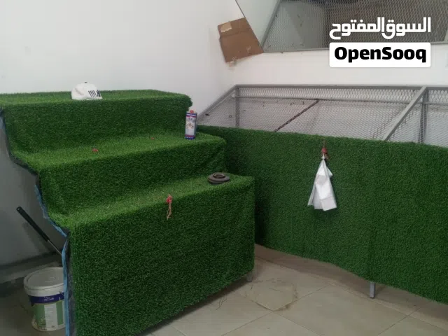 طاولت عرض خضروات