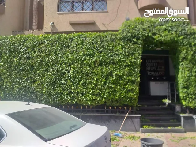 تقليم أشجار