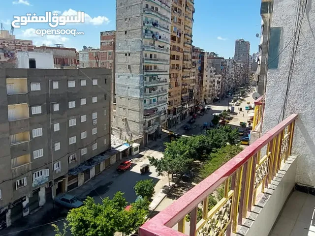 110 m2 2 Bedrooms Apartments for Rent in Alexandria Mandara