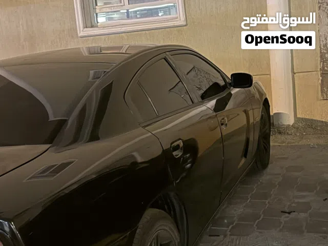 للبيع دواج