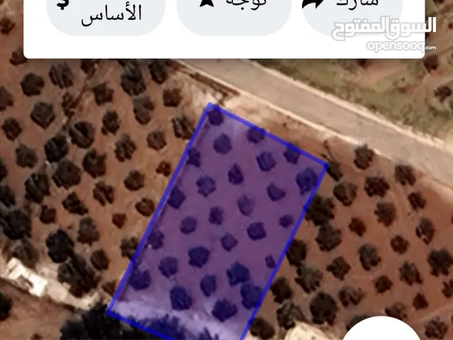 Residential Land for Sale in Amman Al Tuneib