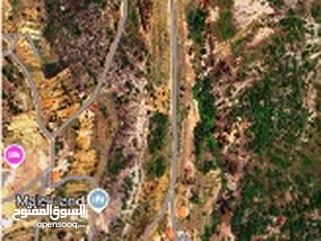 ارض للبيع في معاصر الشوف ، ضمنها بعض اشجار الصنوبر ، ارض زراعية وسكنية 14$ m2