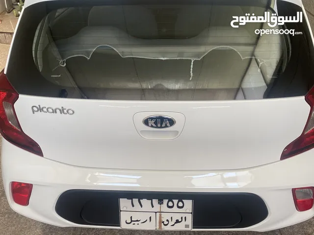 New Kia Picanto in Basra