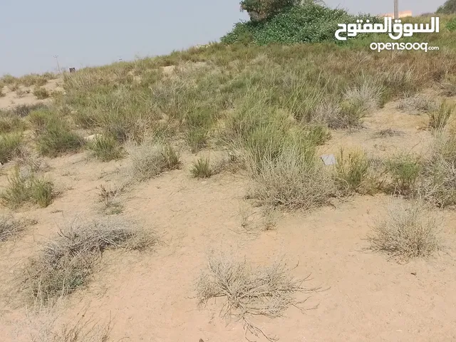 Mixed Use Land for Sale in Sirte Wadi Al-Hniwa