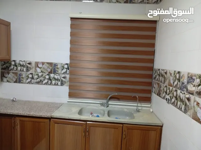 برادي زيبرا