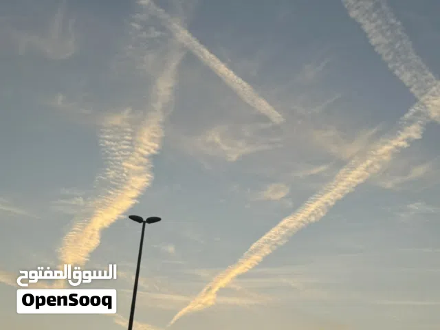 صور فوتغرافية