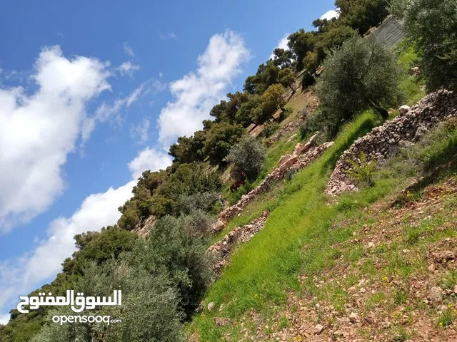 Residential Land for Sale in Amman Tabarboor