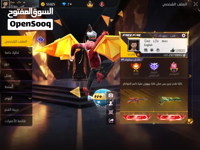 Free Fire Accounts and Characters for Sale in Baghdad