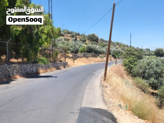 Residential Land for Sale in Amman Badr Jdedeh