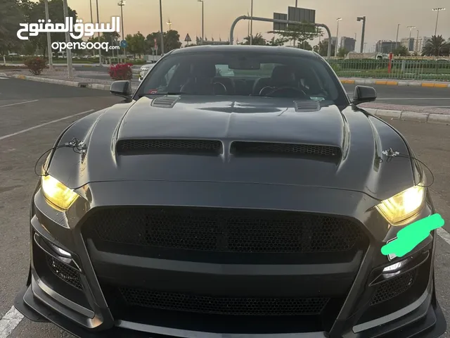 موستنق بريمر  2017 وارد gt5.0 امريكا