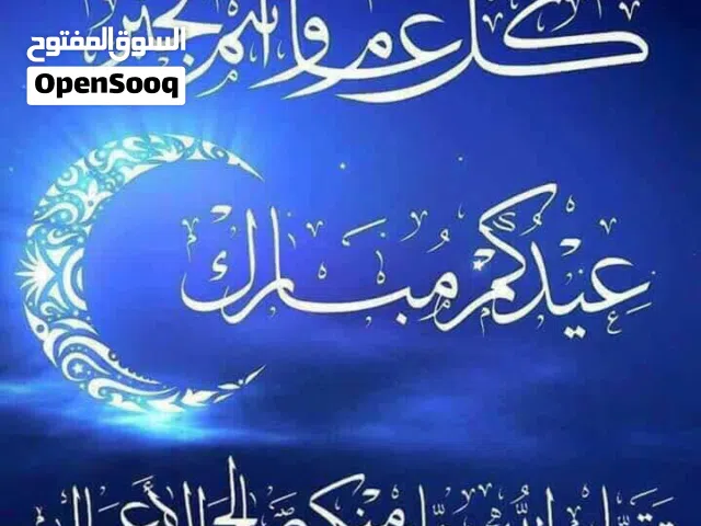 مسبح انتكس الحجم الاكبر 9.75×4.75