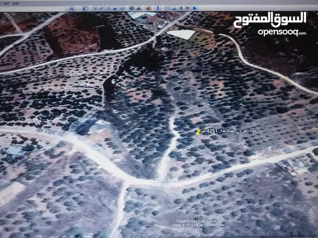 Residential Land for Sale in Nablus Sarra