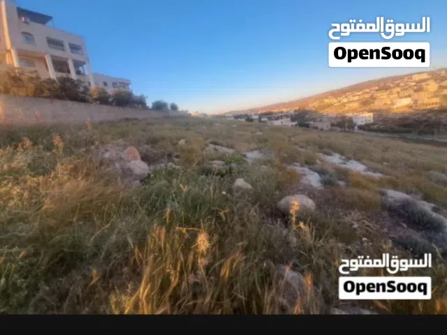 Residential Land for Sale in Irbid Kufr Ma'