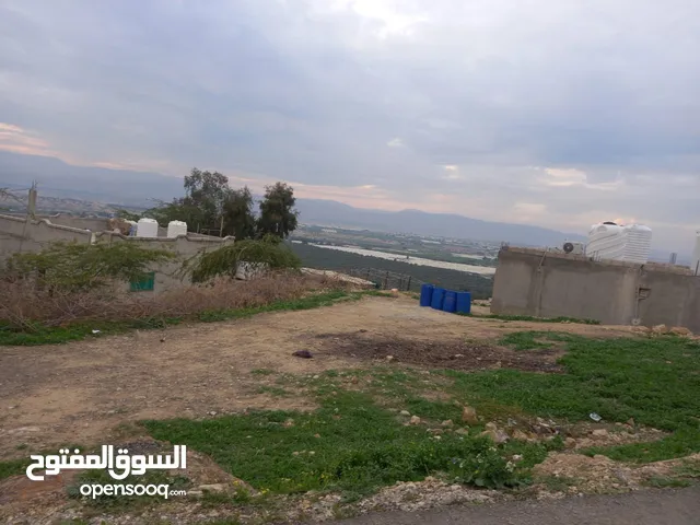 ارض للبيع بالغور