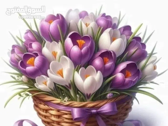 محل تجاري للايجار