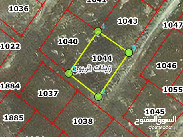 Residential Land for Sale in Amman Zinat Al-Rubue