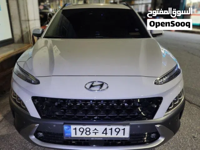 محمود شاهين