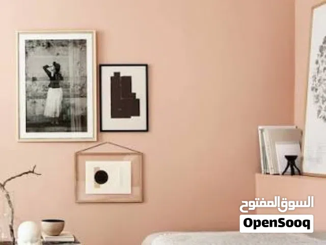 Expert Painter Available in Riyadh