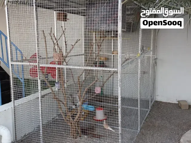 قفص طيور كبير