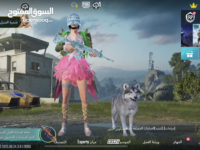Pubg Accounts and Characters for Sale in Salt