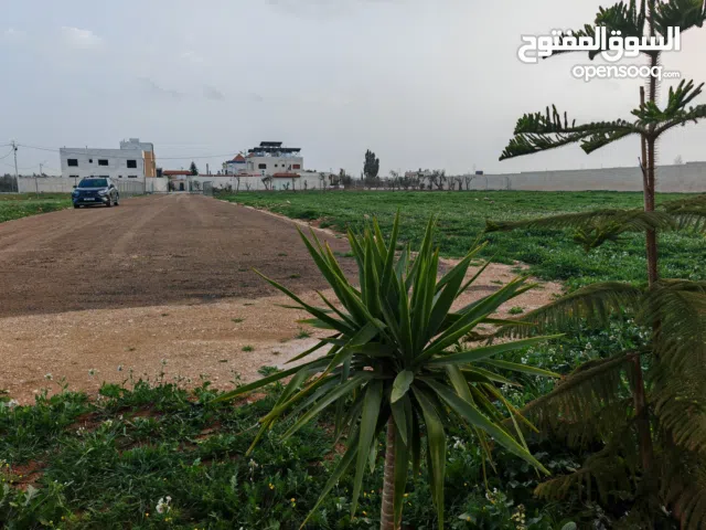 Residential Land for Sale in Amman Umm Al-Amad