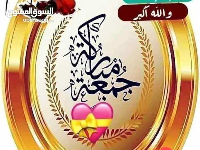 احمد الزعبي
