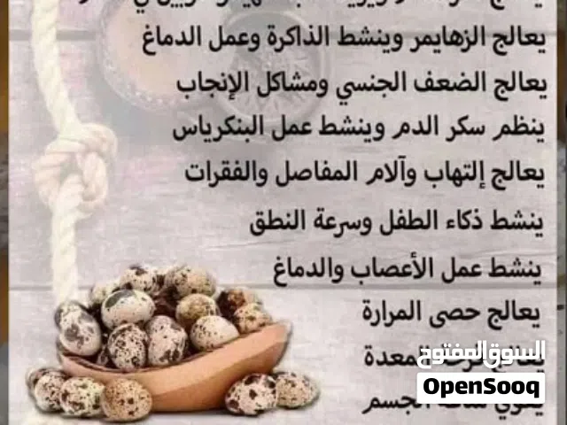 بيض فري بيض سمان
