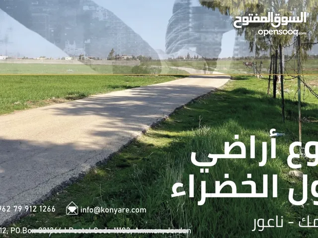 Farm Land for Sale in Amman Naour