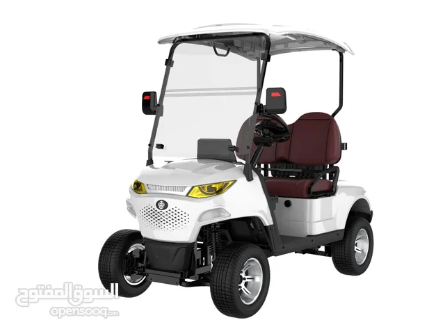 2 Passengers Golf Cart SC-MXV201-ECO