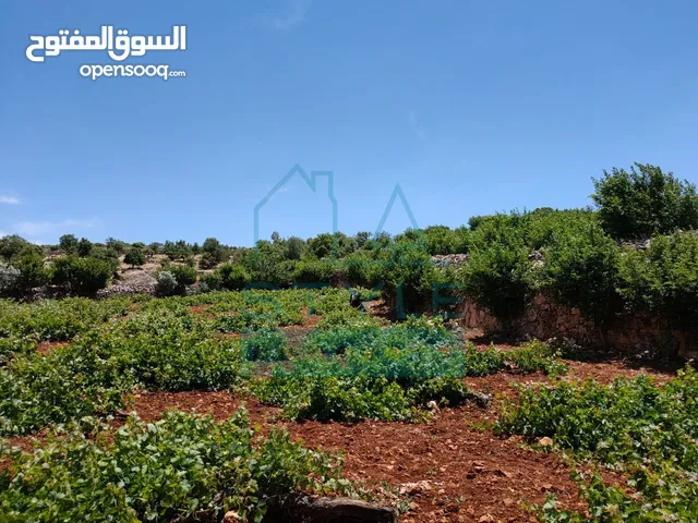 Farm Land for Sale in Ajloun E'in Jana